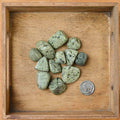 Tumbled Asterite (1 Stone)