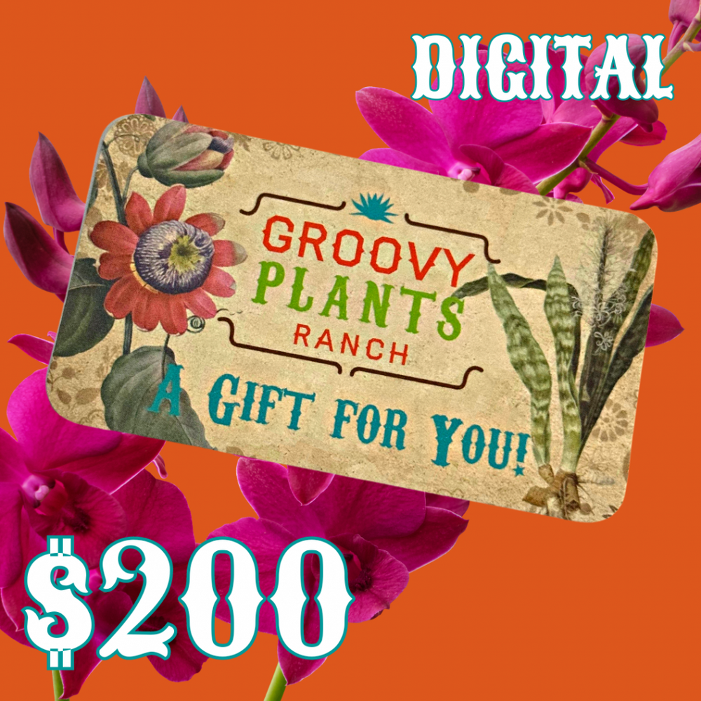 Groovy Plants Ranch Gift Cards The Groovy Plants Ranch LLC