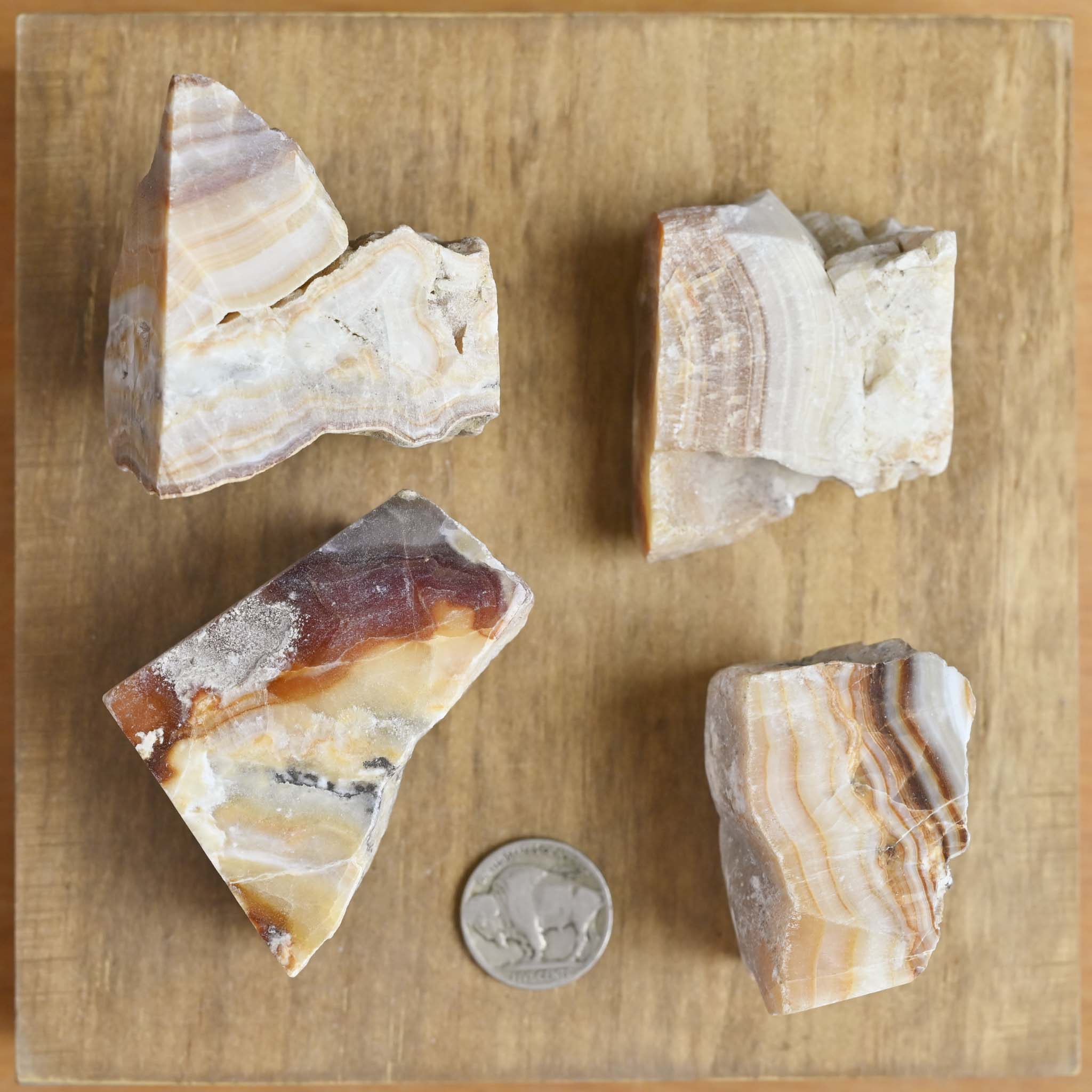 Polished Top Banded Aragonite