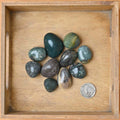 Tumbled Bloodstone (heliotrope) (1 Stone)