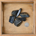 Tumbled Blue Tiger's Eye (1 Stone)