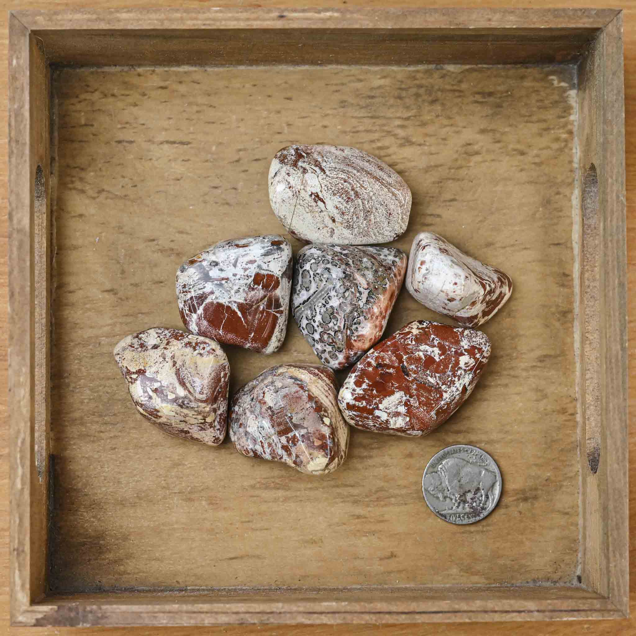 Tumbled Brecciated Jasper (1 Stone) – The Groovy Plants Ranch LLC