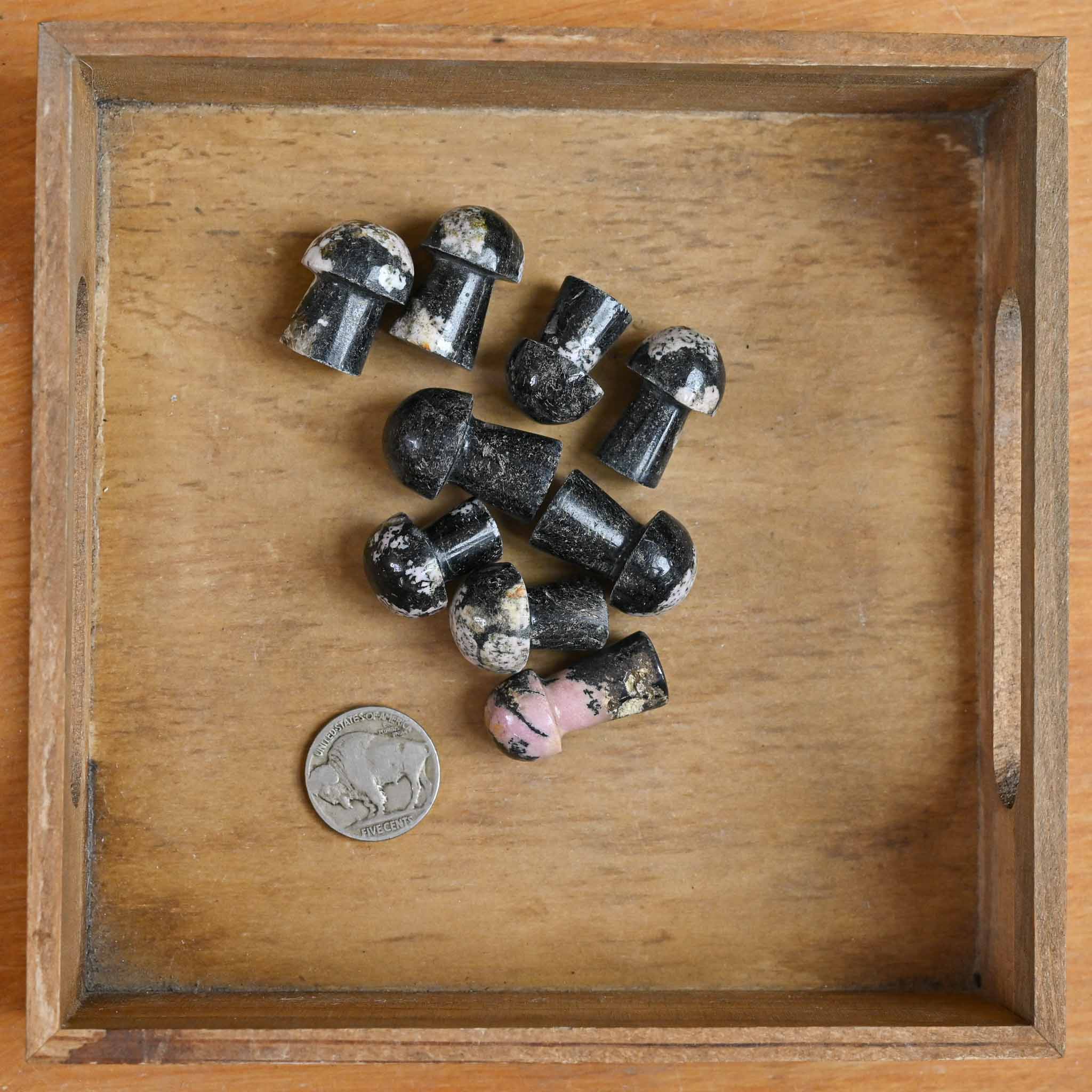 Black Jade Mini Mushroom (1 Stone) – The Groovy Plants Ranch LLC