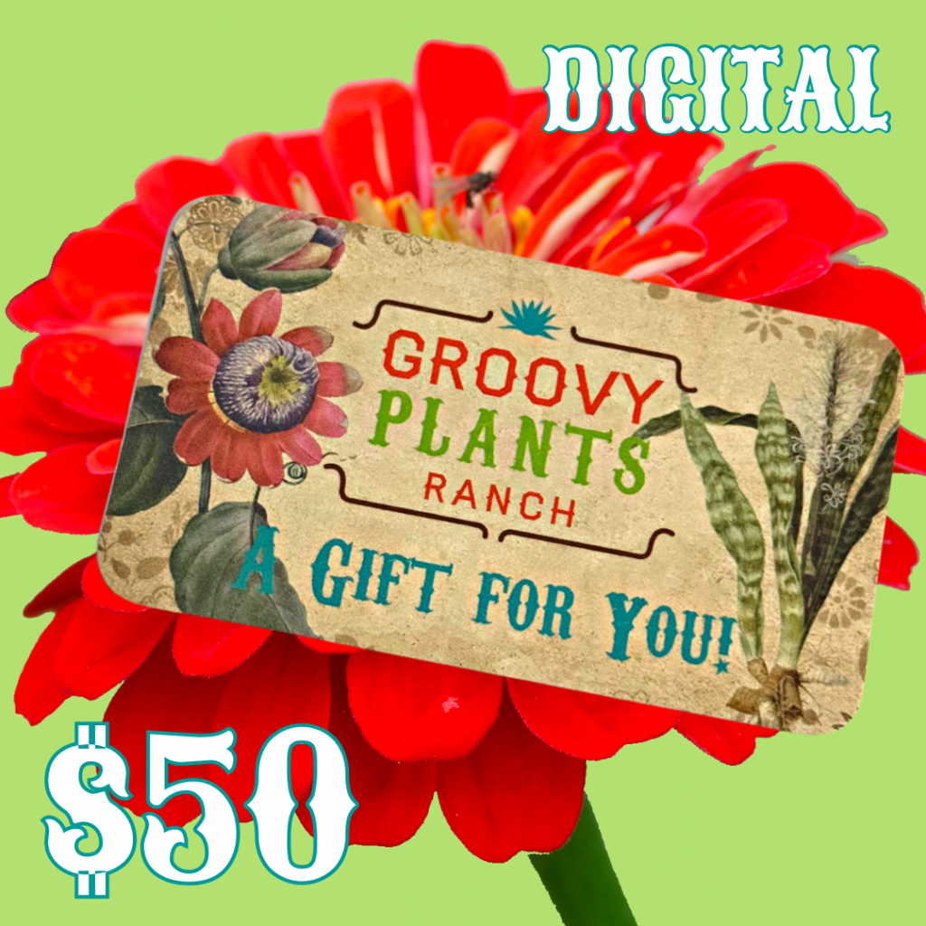 Groovy Plants Ranch Gift Cards The Groovy Plants Ranch LLC