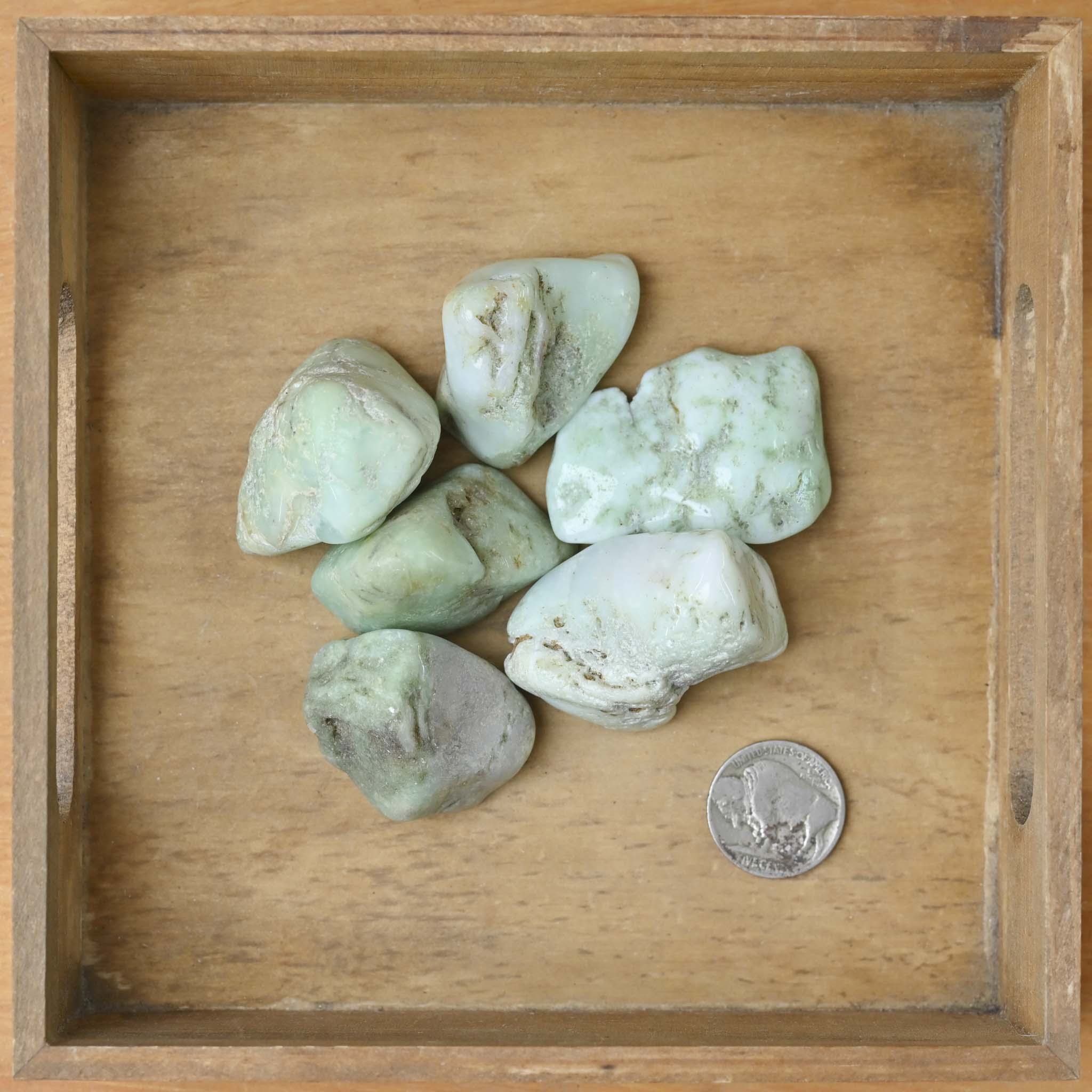 Tumbled Chrysoprase
