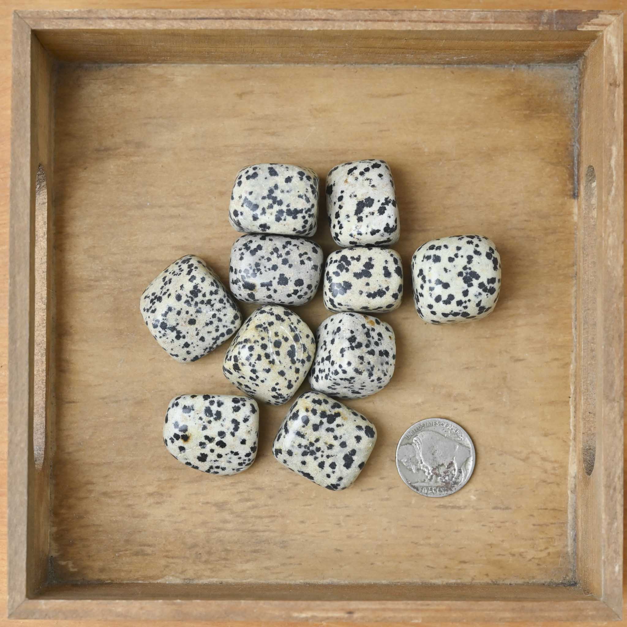 Tumbled Dalmatian Jasper