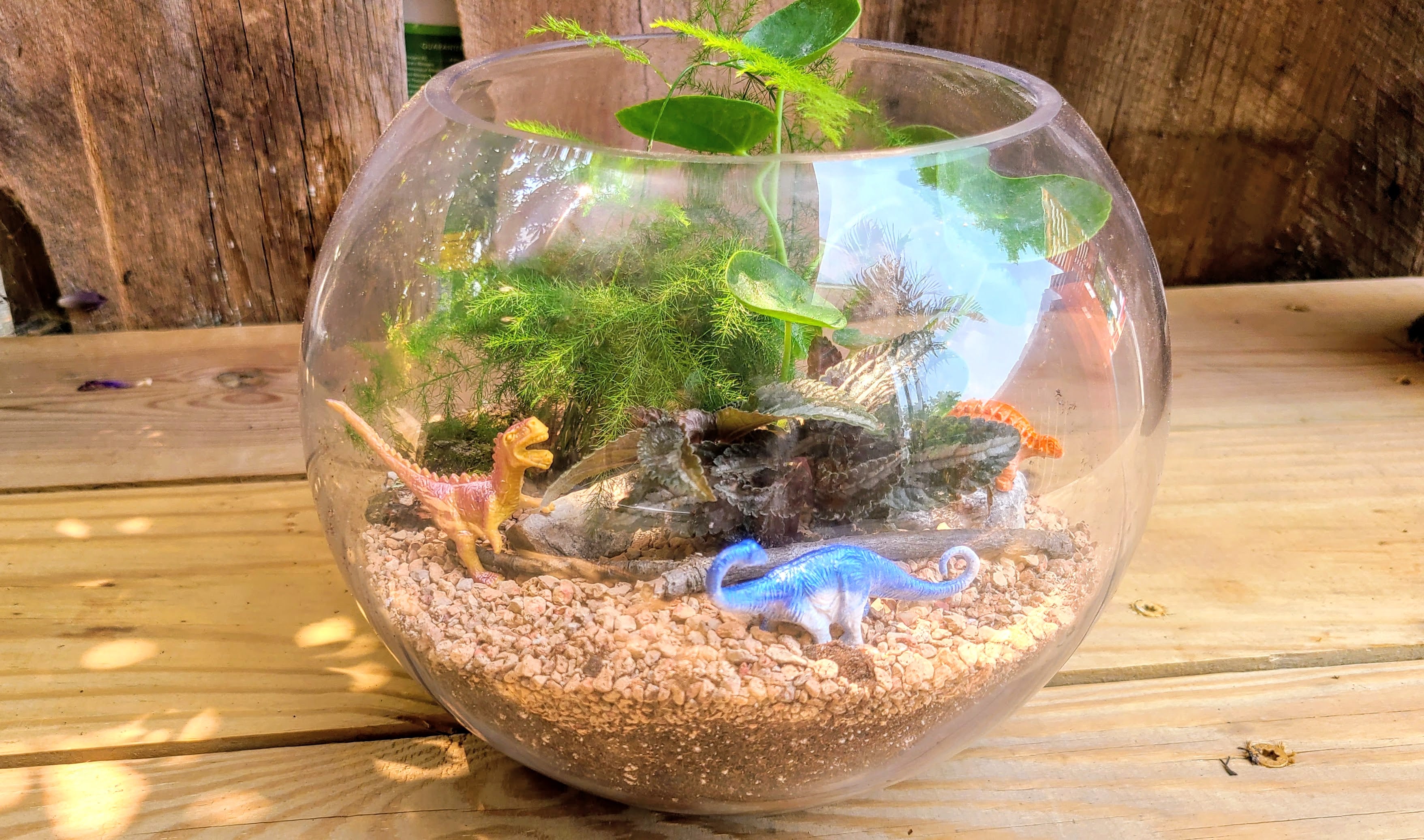 Dino Planter | Sept 19th 2pm
