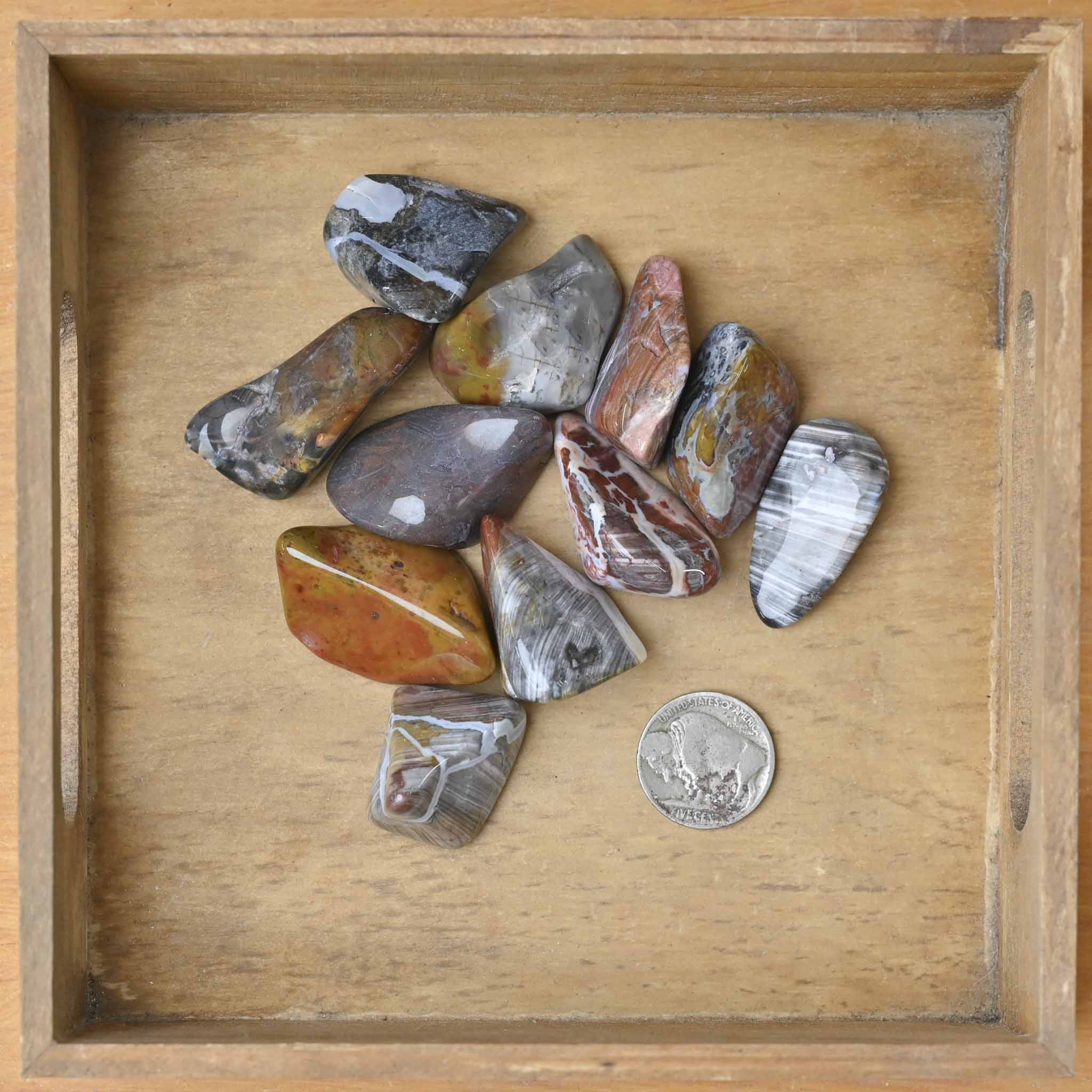 Tumbled Flint – The Groovy Plants Ranch LLC
