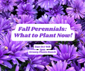 Fall Perennials:What to Plant Now! Class l Oct 4th 1pm
