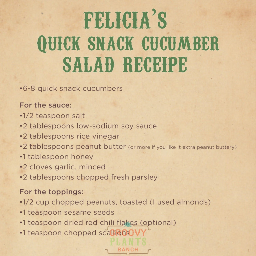 Quick Snack Cucumber