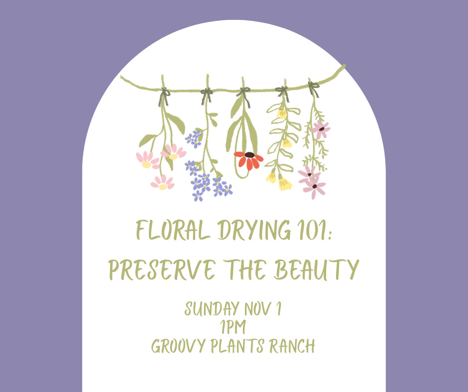 Floral Drying 101: Preserve the Beauty l Nov 1st 1pm