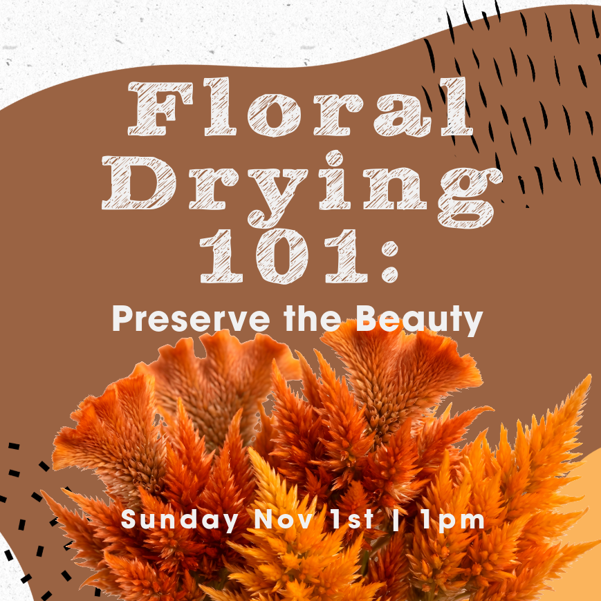 Floral Drying 101: Preserve the Beauty l Nov 1st 1pm
