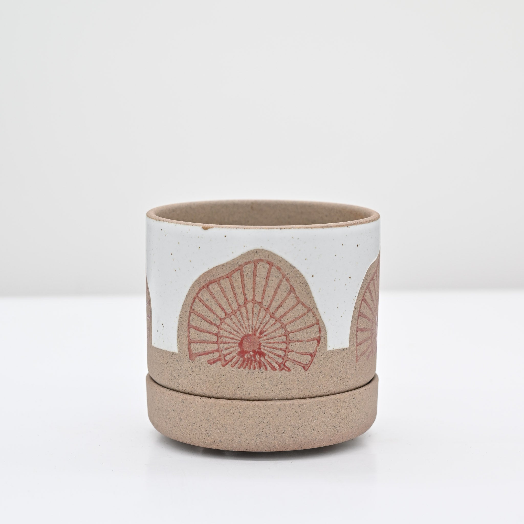 3.5" Petrified Toadstool Planter