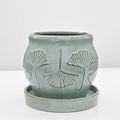 Ginkgo Planter