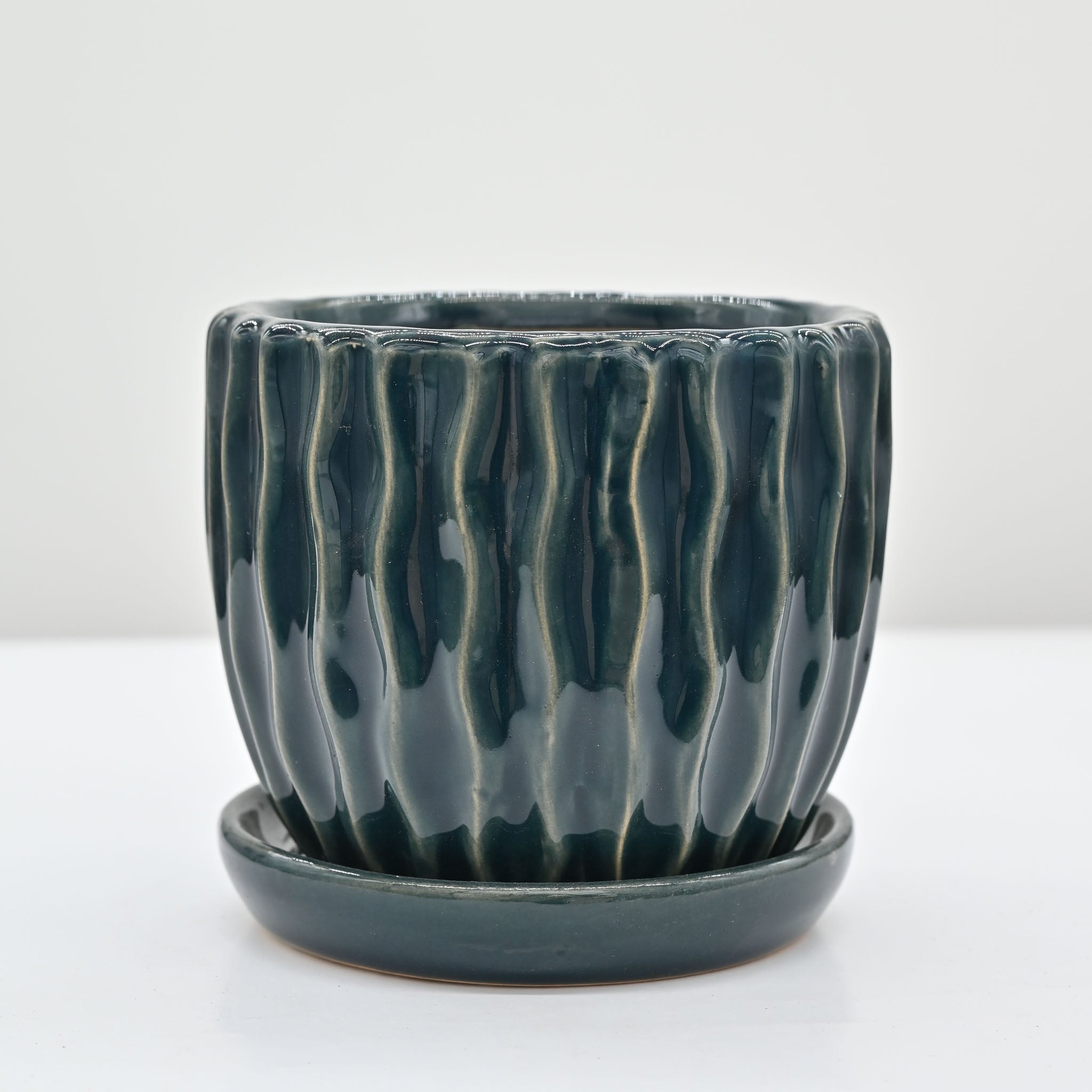 Myco Motion Planter in Blue