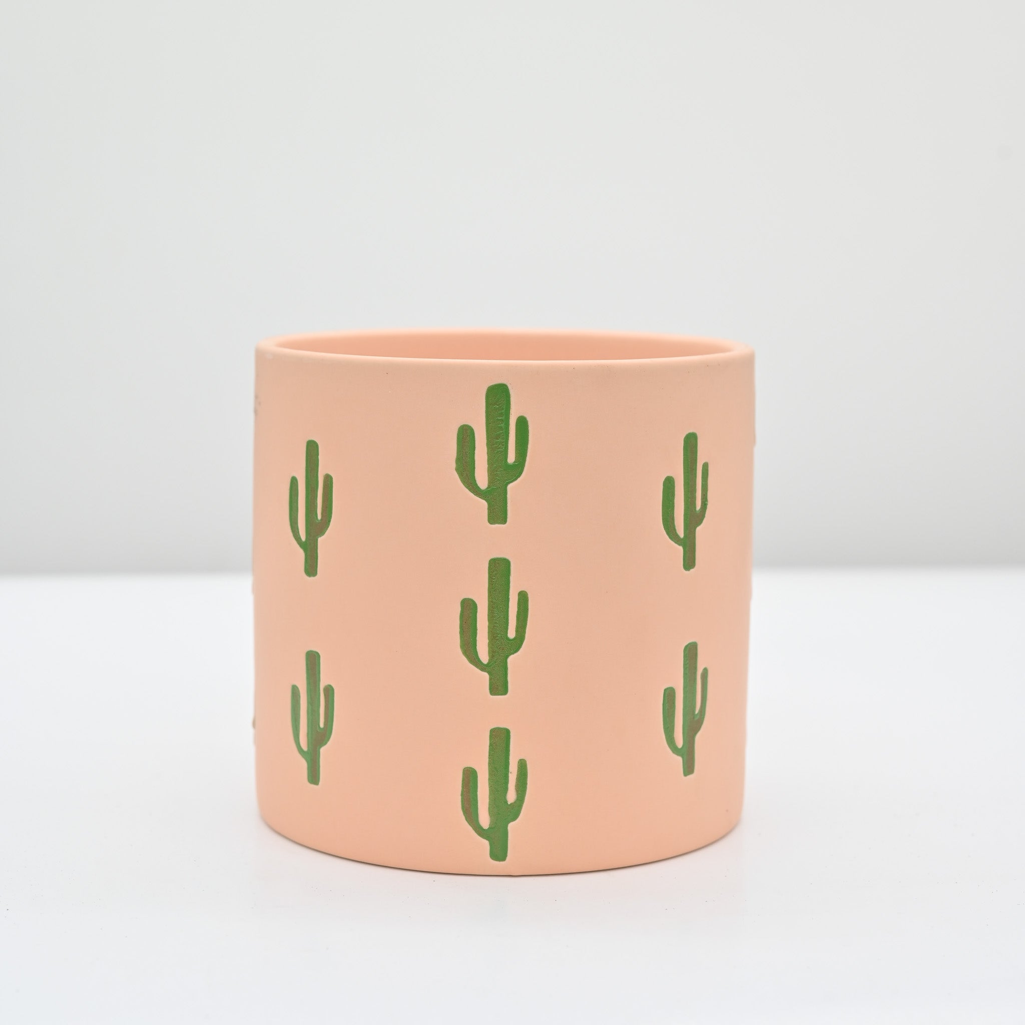 Desert Dude Planter