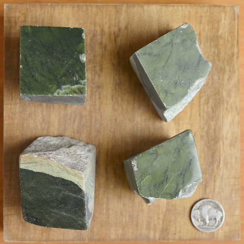 Grove Rocks What's Happening at The Ranch? – The Groovy Plants Ranch LLC