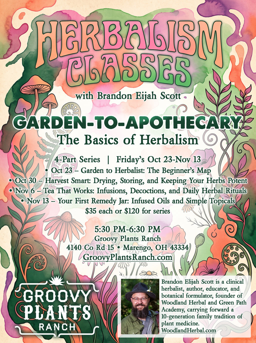 Garden-to-Apothecary: The Basics of Herbalism