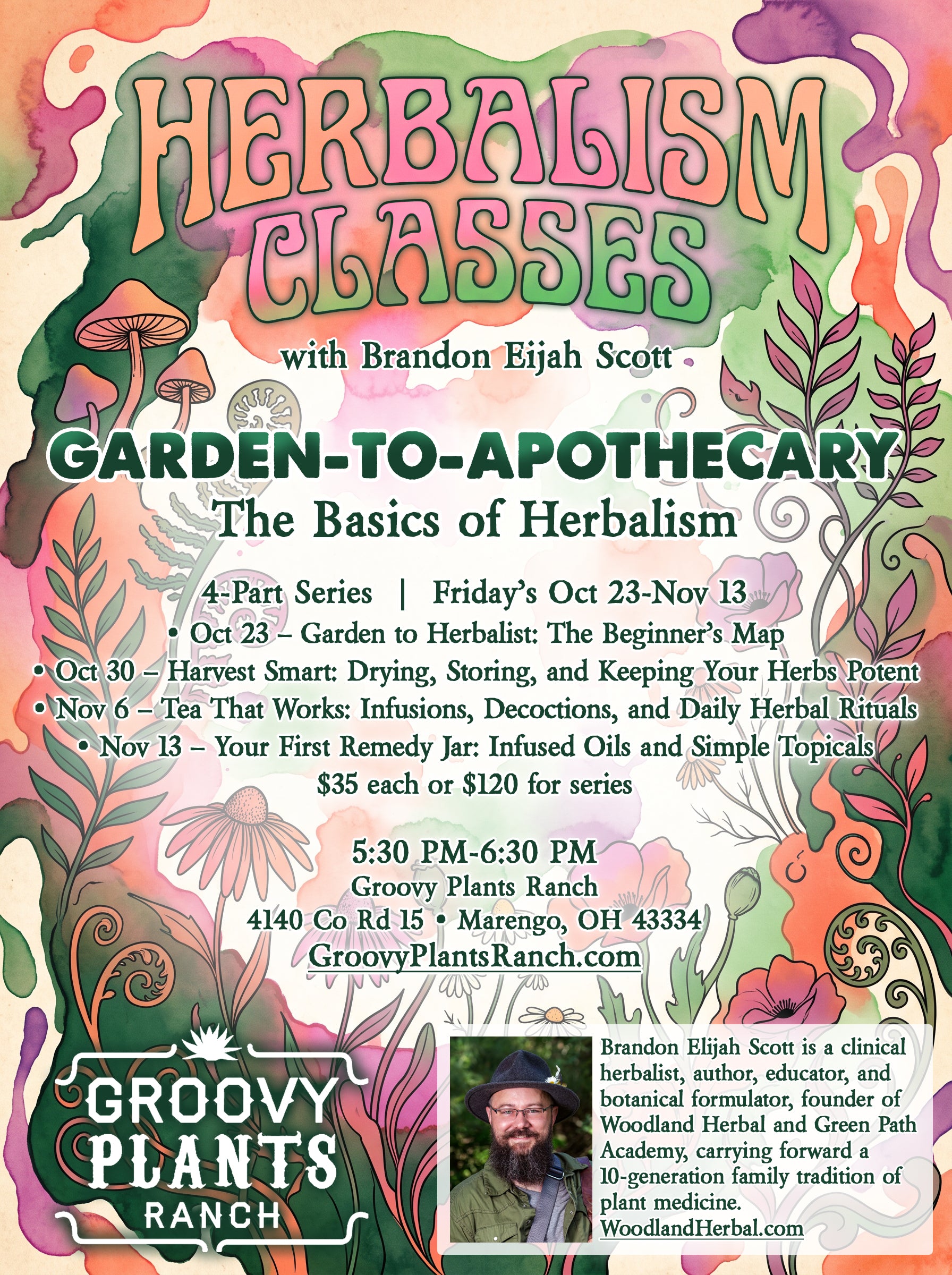 Garden-to-Apothecary: The Basics of Herbalism
