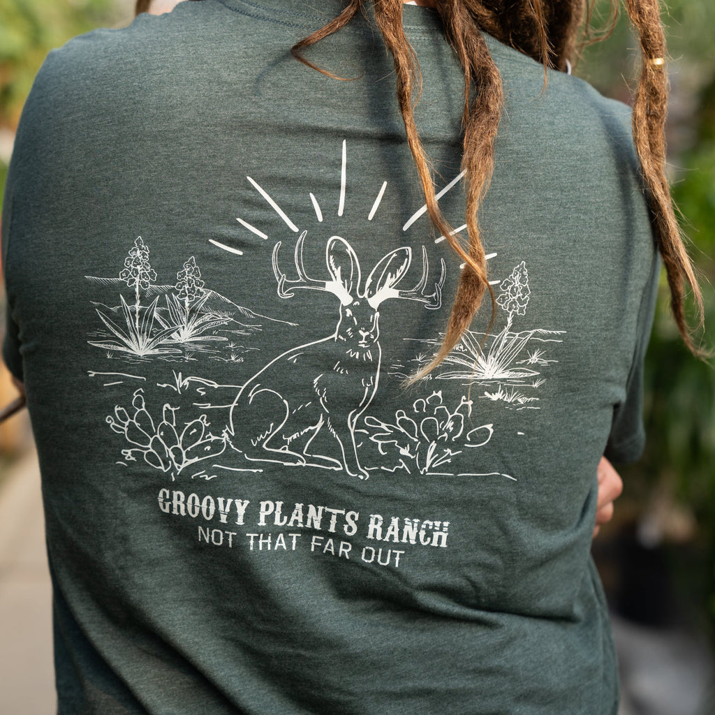 Groovy T-Shirt | Jackalope