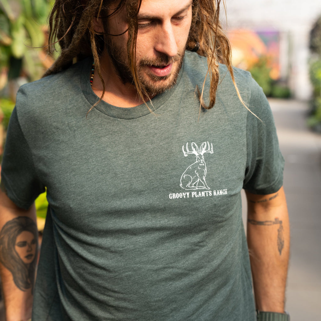 Groovy T-Shirt | Jackalope