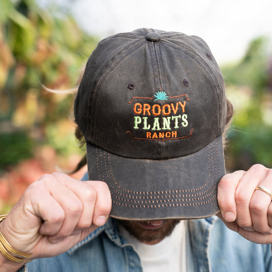 Groovy Hat | GPR Logo