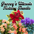 Groovy's Ultimate Holiday Bundle