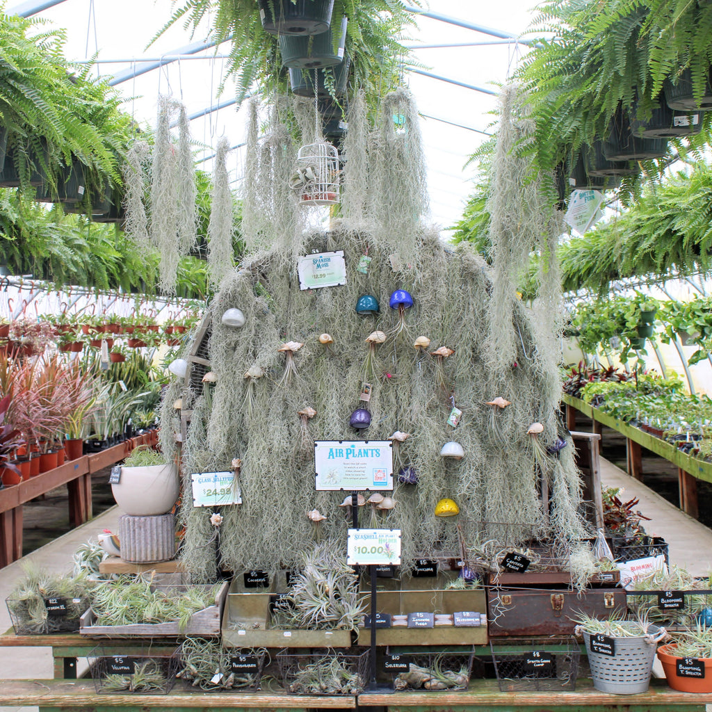 19+ Groovy Plant Ranch Ohio