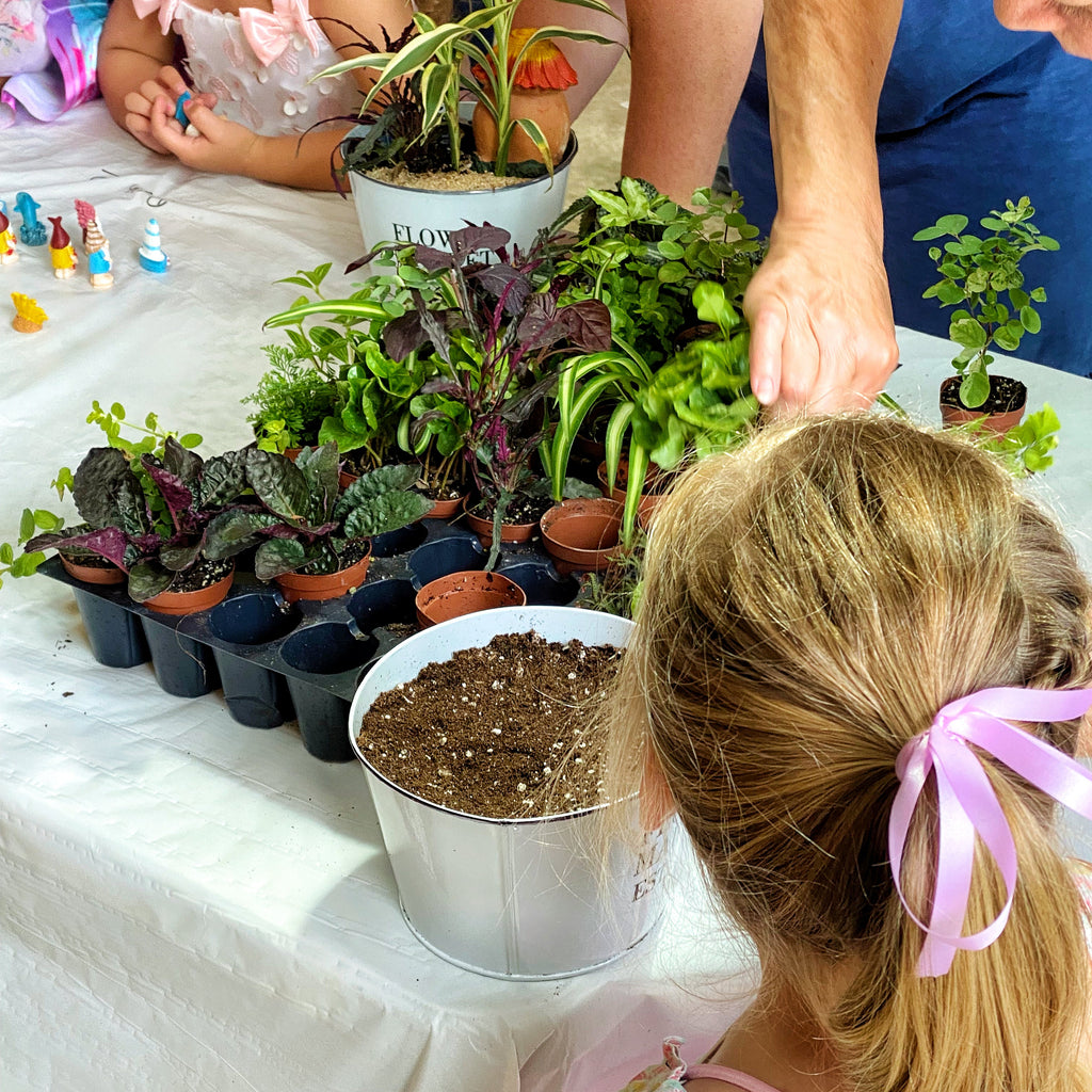 Fairy Garden Tea Party! | Dec 12th 11am