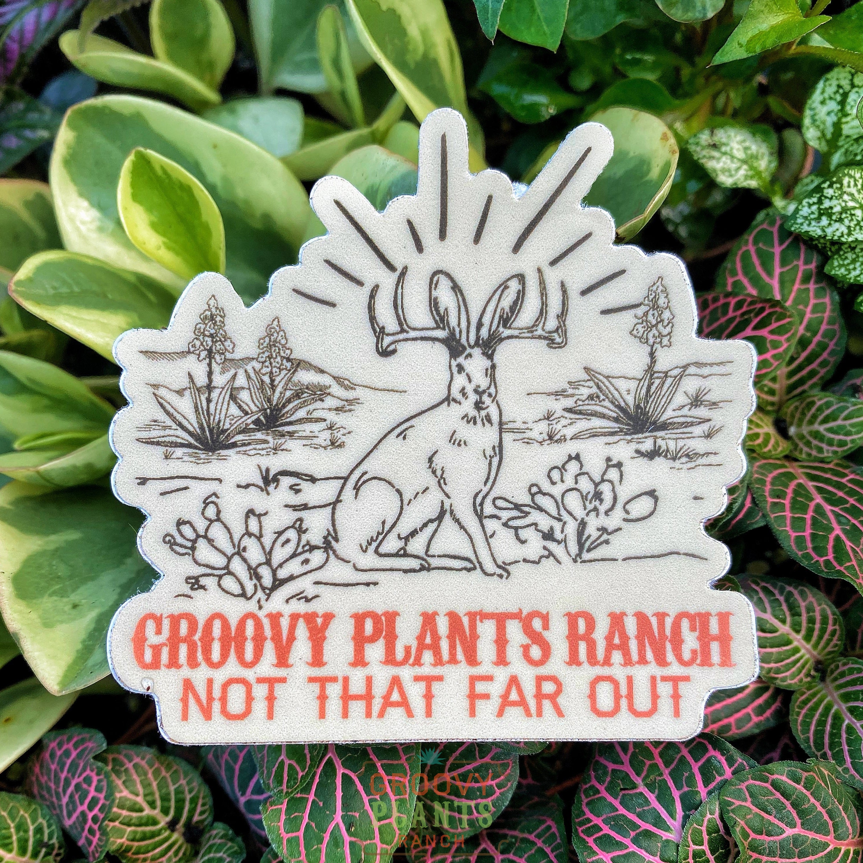 Jackelope GPR Sticker – The Groovy Plants Ranch LLC