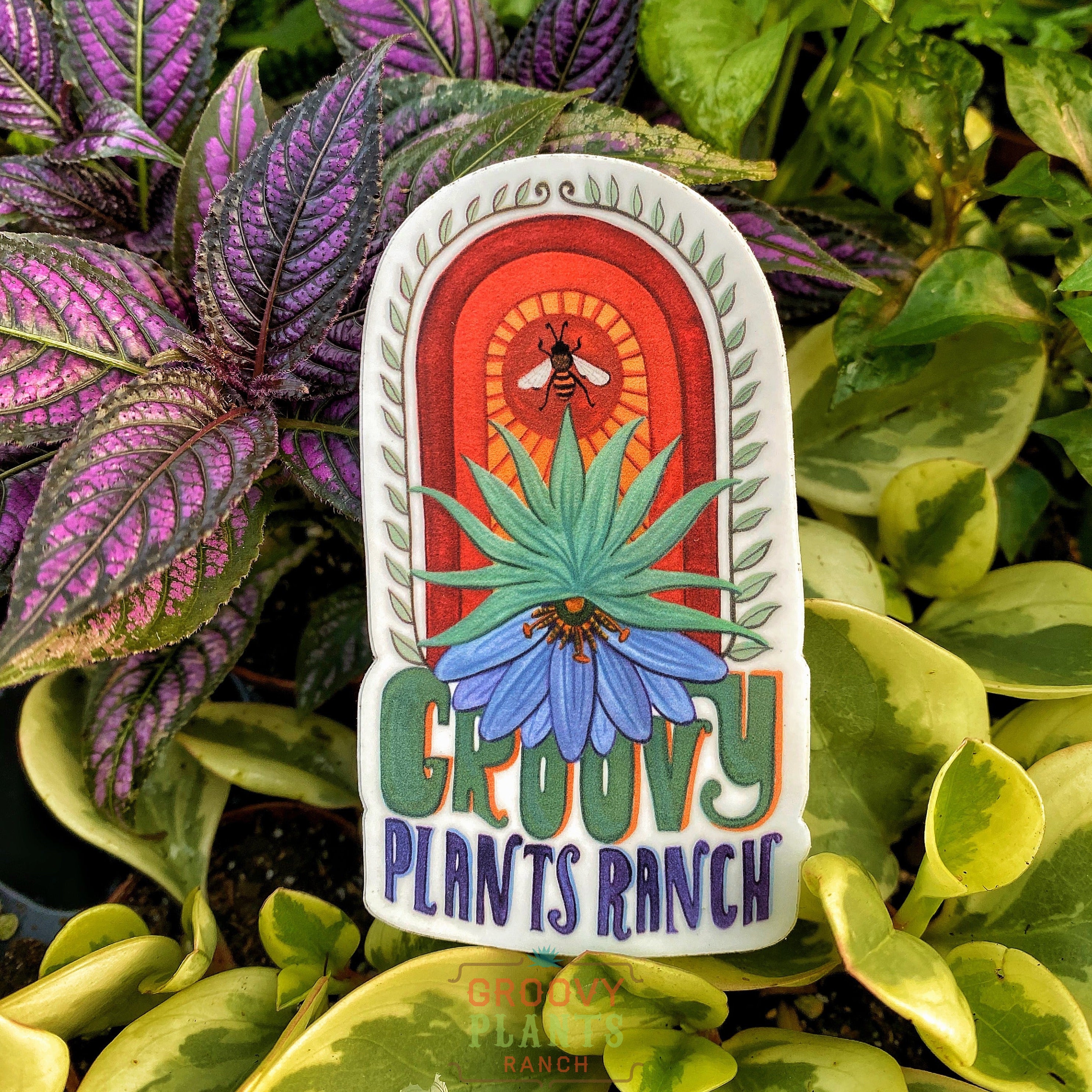 Bee & Agave GPR Sticker – The Groovy Plants Ranch LLC