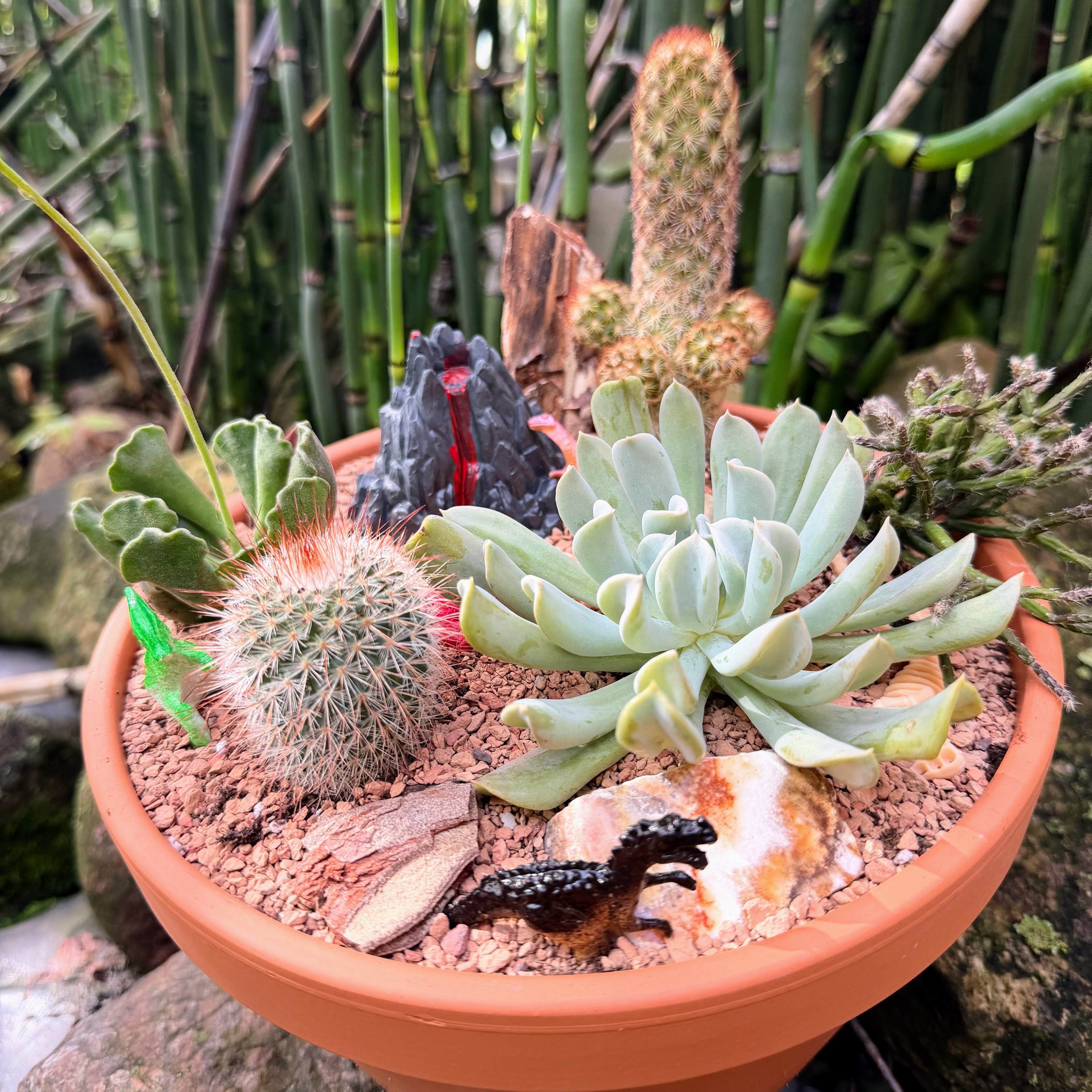 Dino Planter | Sept 20th 2pm