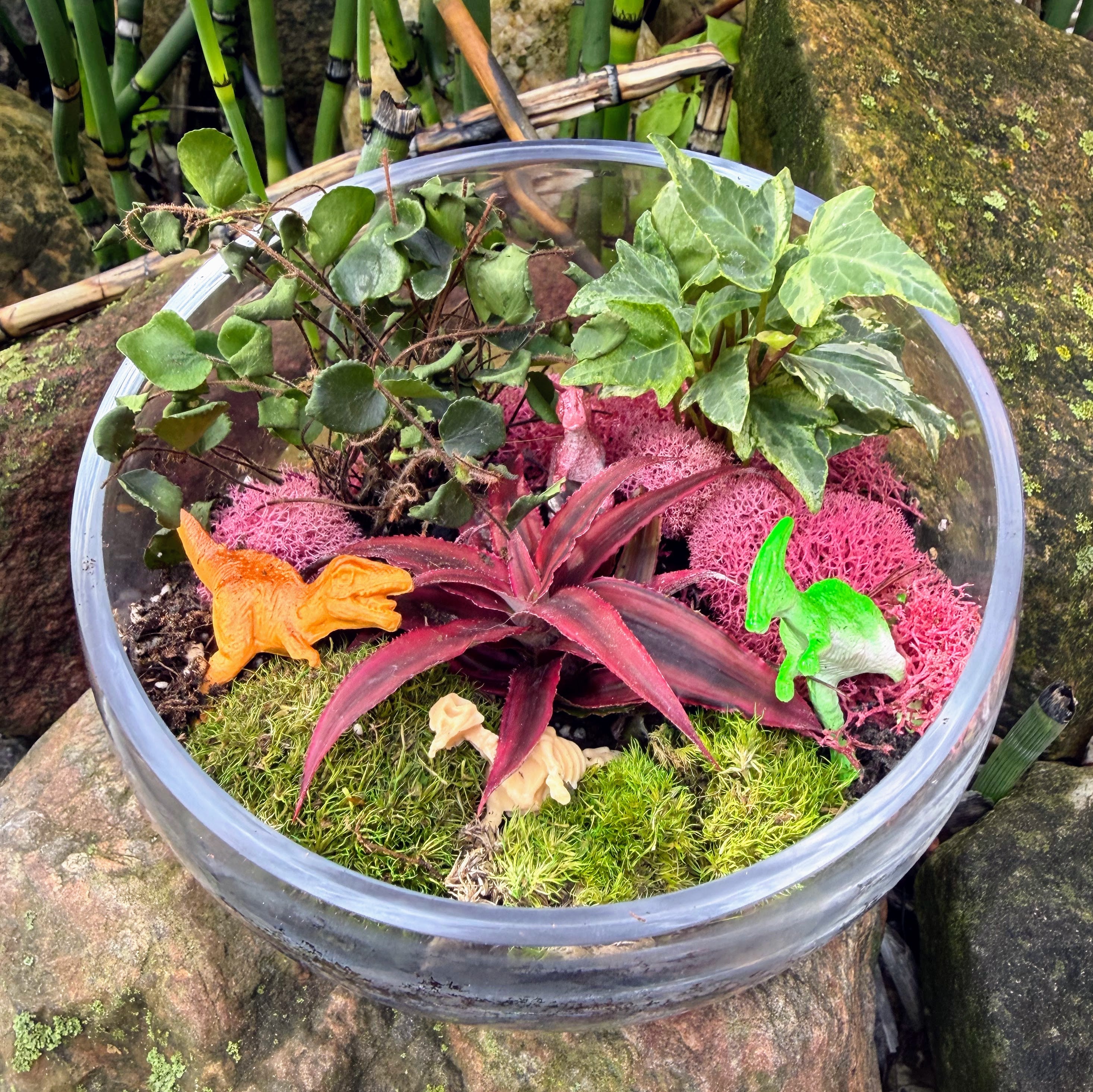 Dino Planter | Sept 20th 2pm