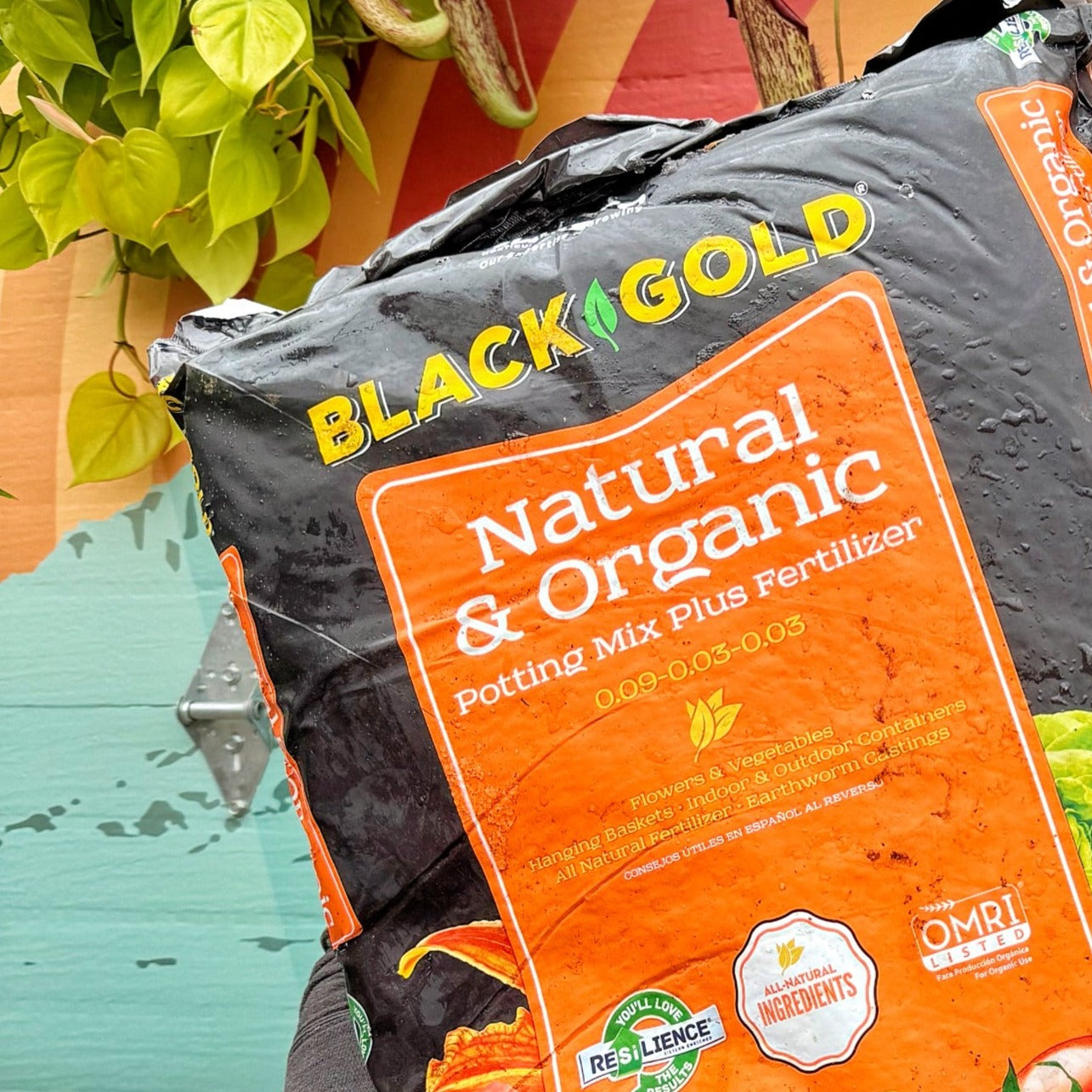 Preorder Organic Potting Soil (ONE BAG) | PICKUP ONLY!