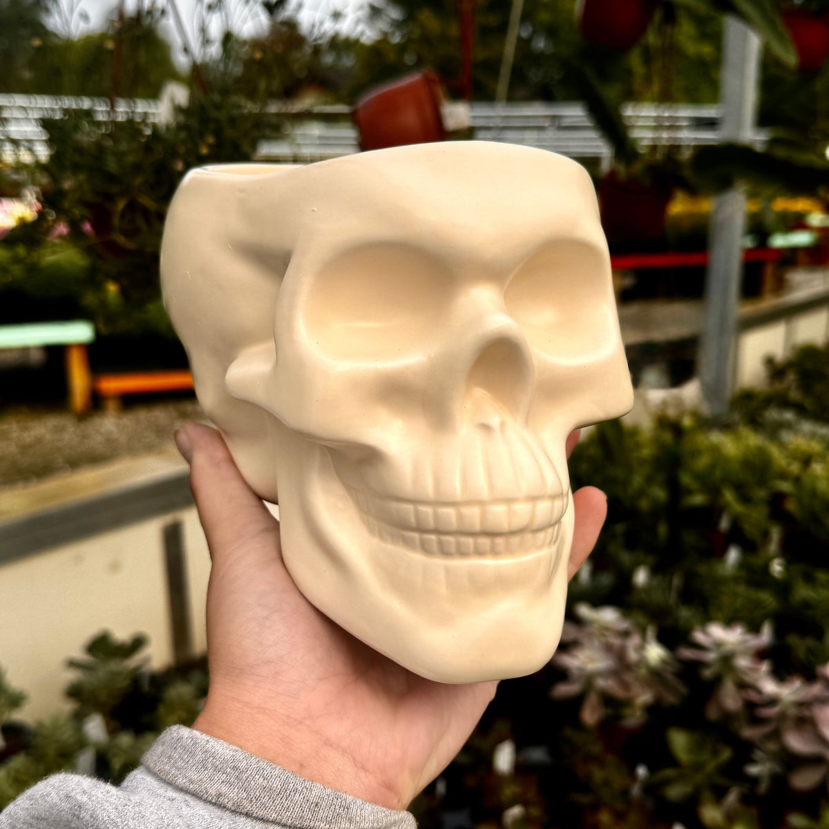 Skull Planter