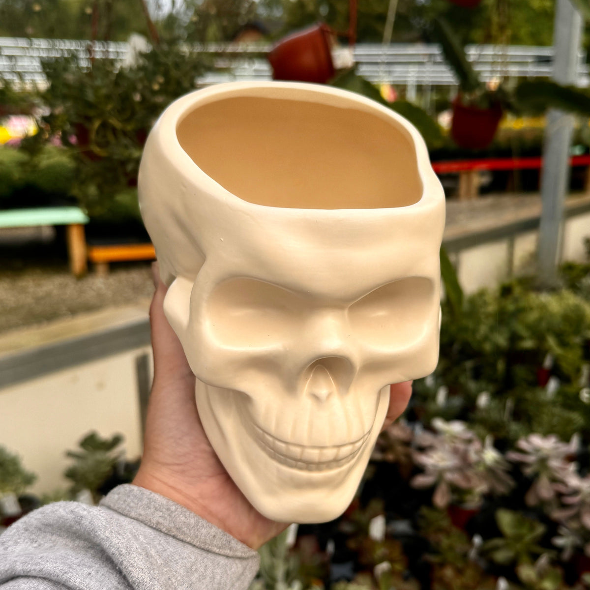 Skull Planter