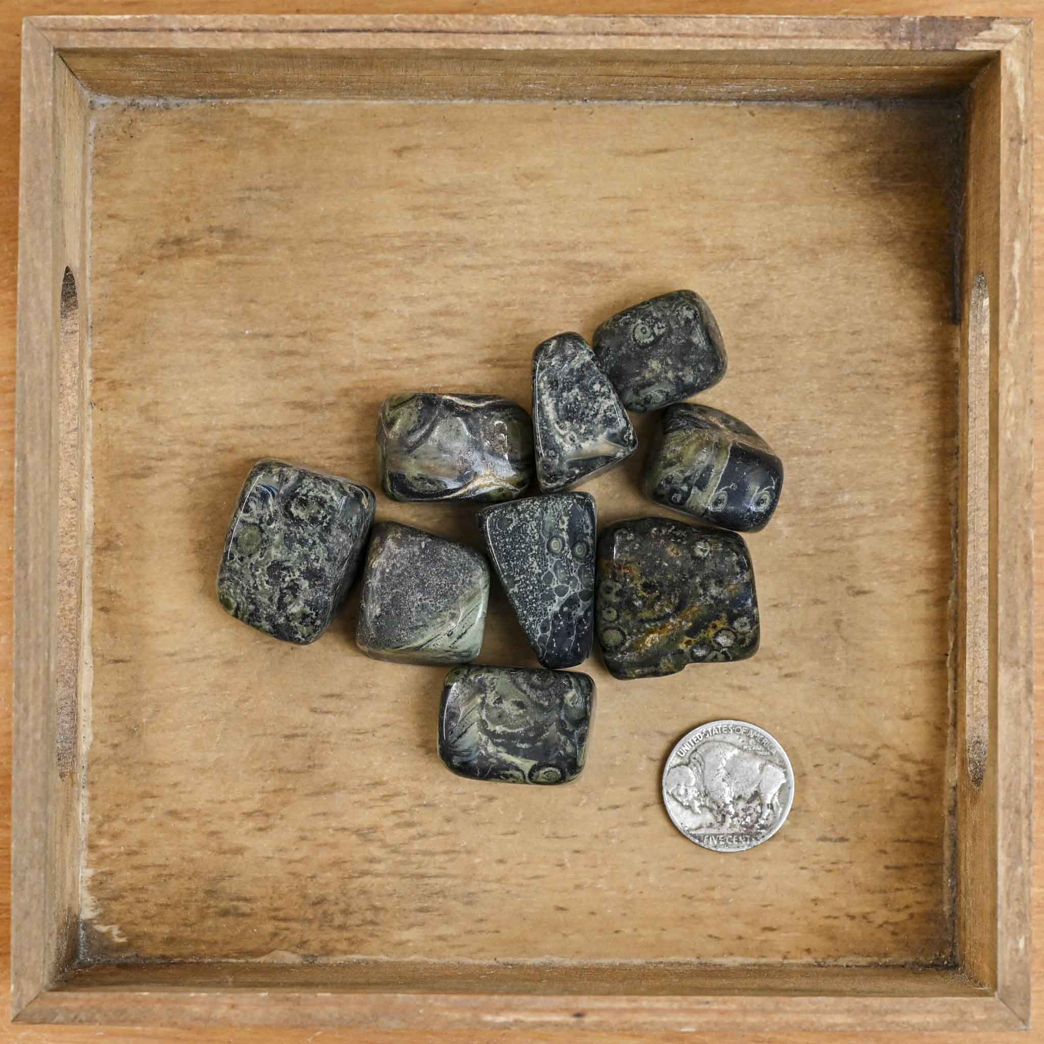 Tumbled Kambaba Jasper