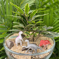 Dino Planter | Sept 19th 2pm