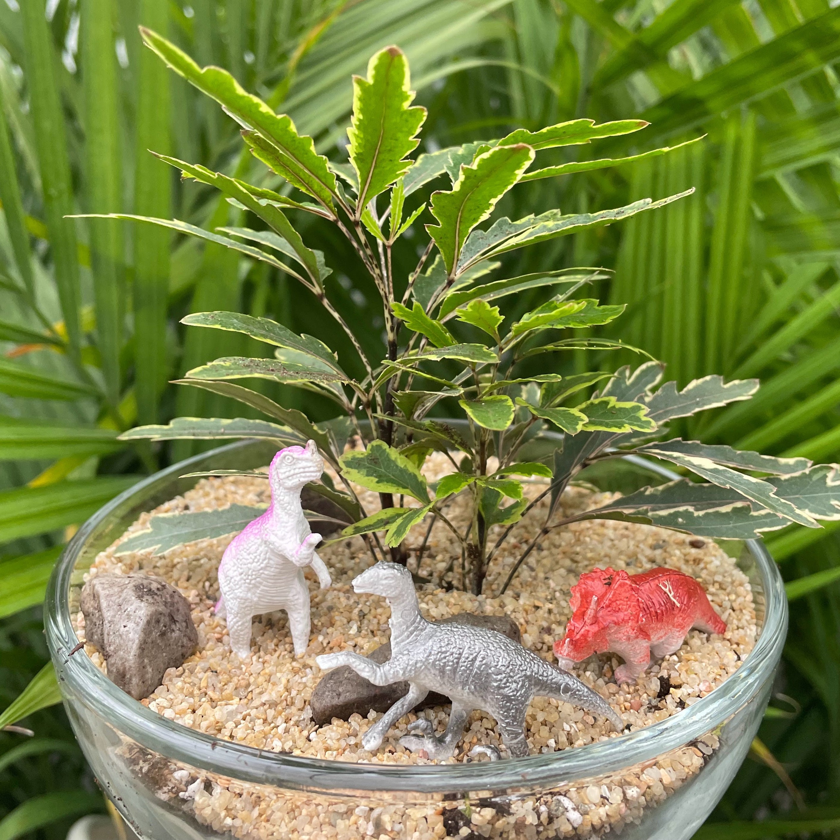 Dino Planter | Sept 19th 2pm