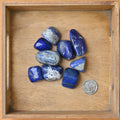 Tumbled Lapis (1 Stone)