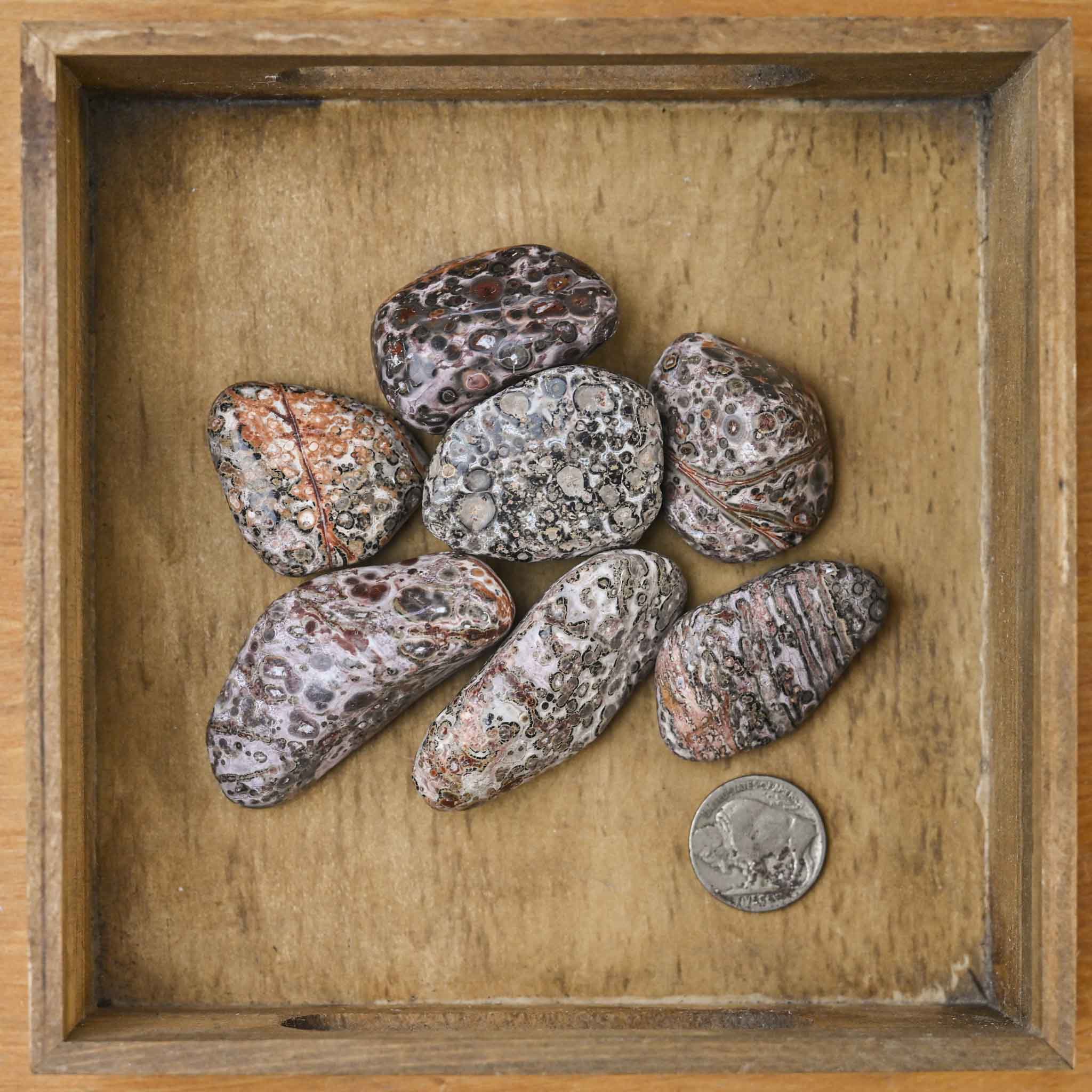 Tumbled Leopard Skin Jasper