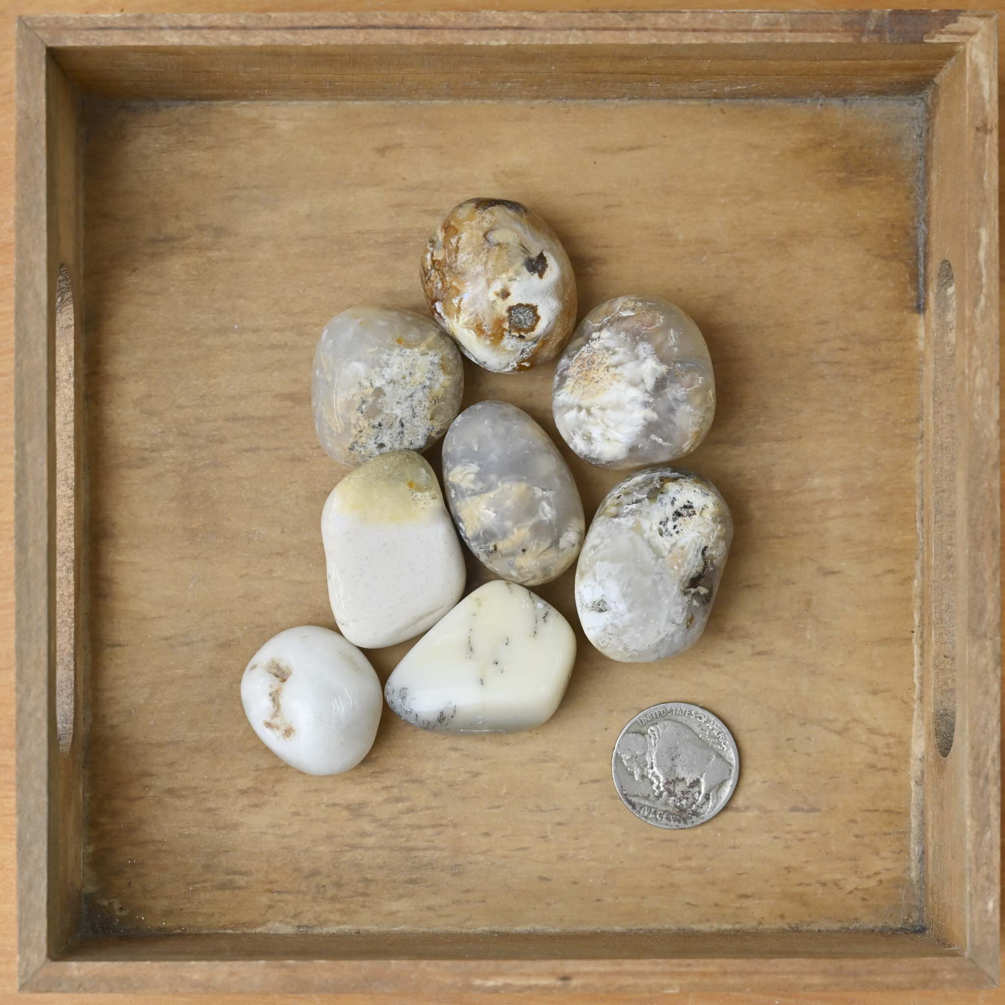 Tumbled Opal Dendrite