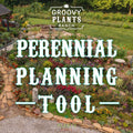 Perennial Planning Consultation : 30 Minute Reservation