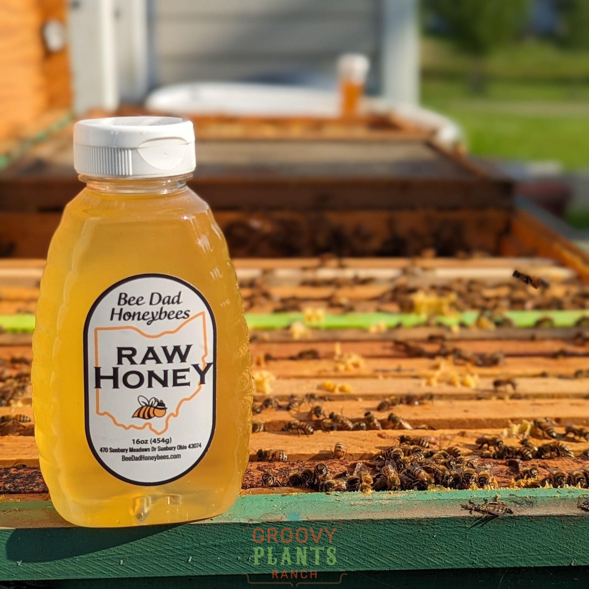 Beginning Beekeeping Class | March 21 12p