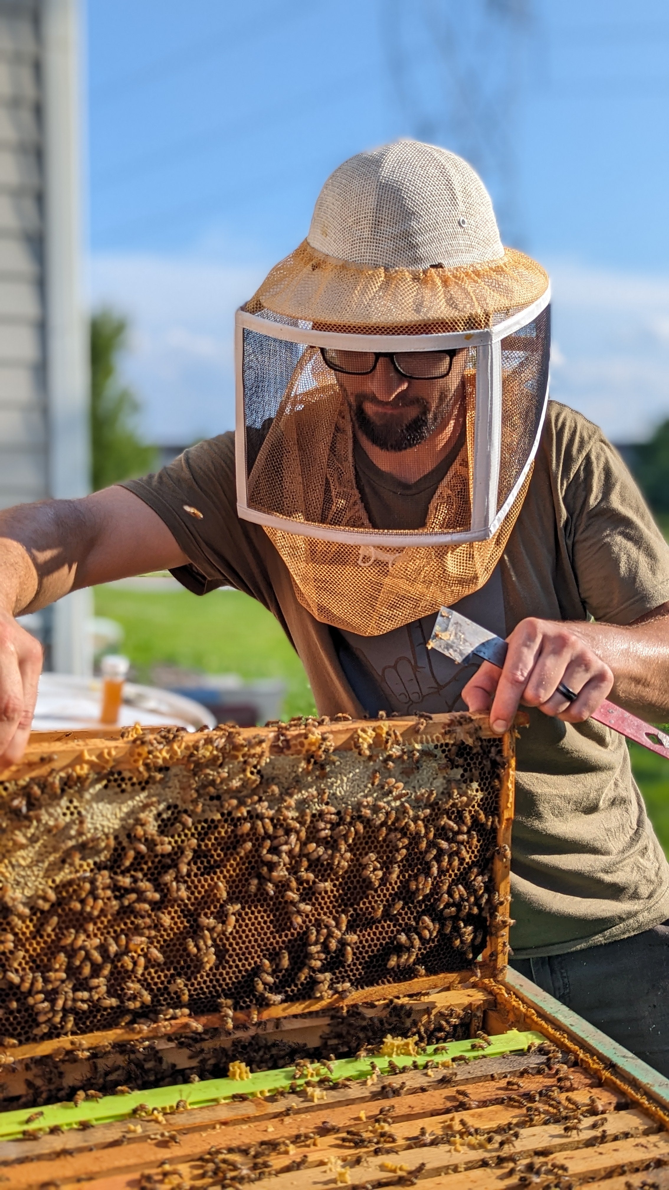Beginning Beekeeping Class | March 21 12p