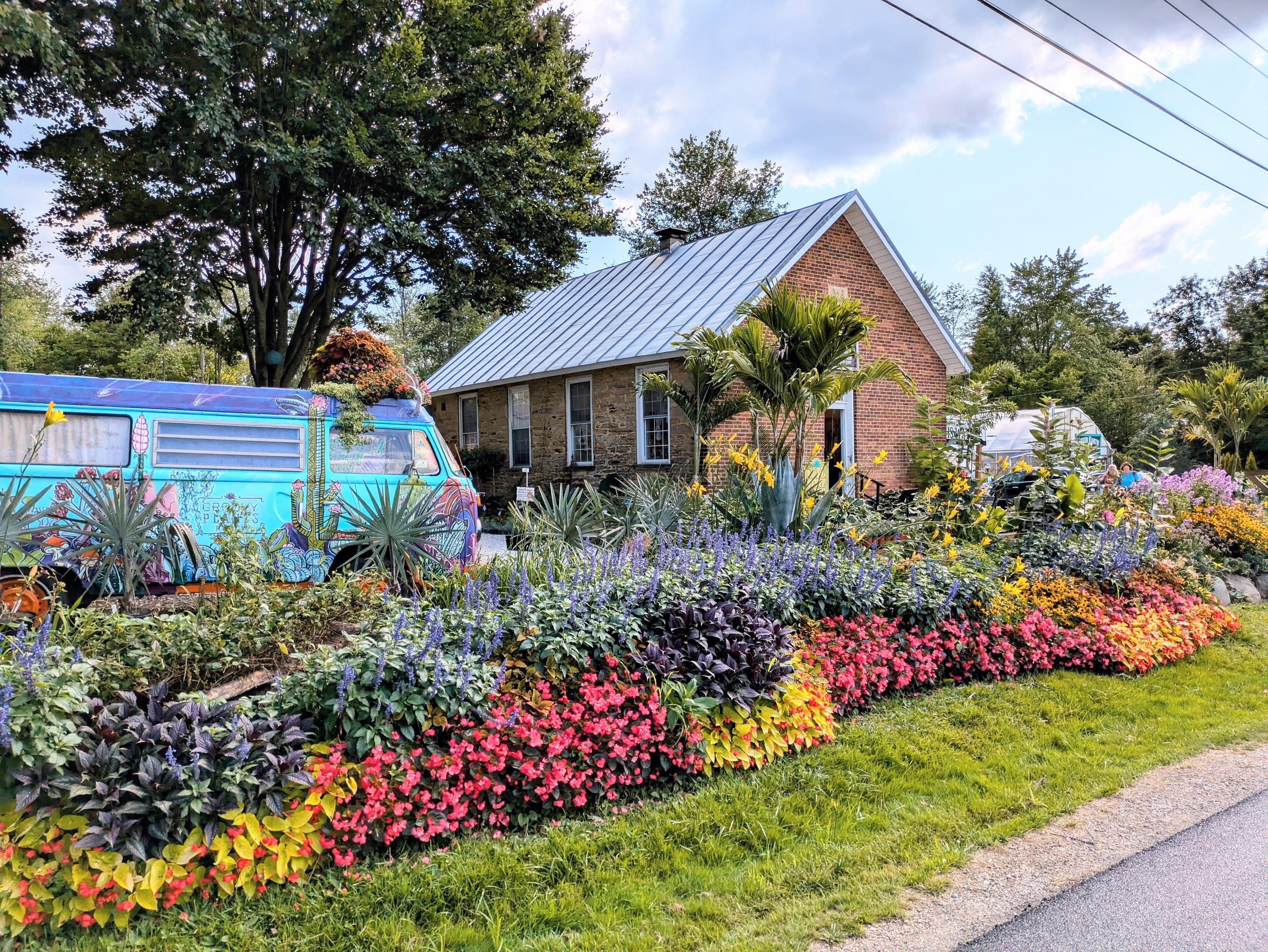 Groovy Plants Ranch Sweepstakes