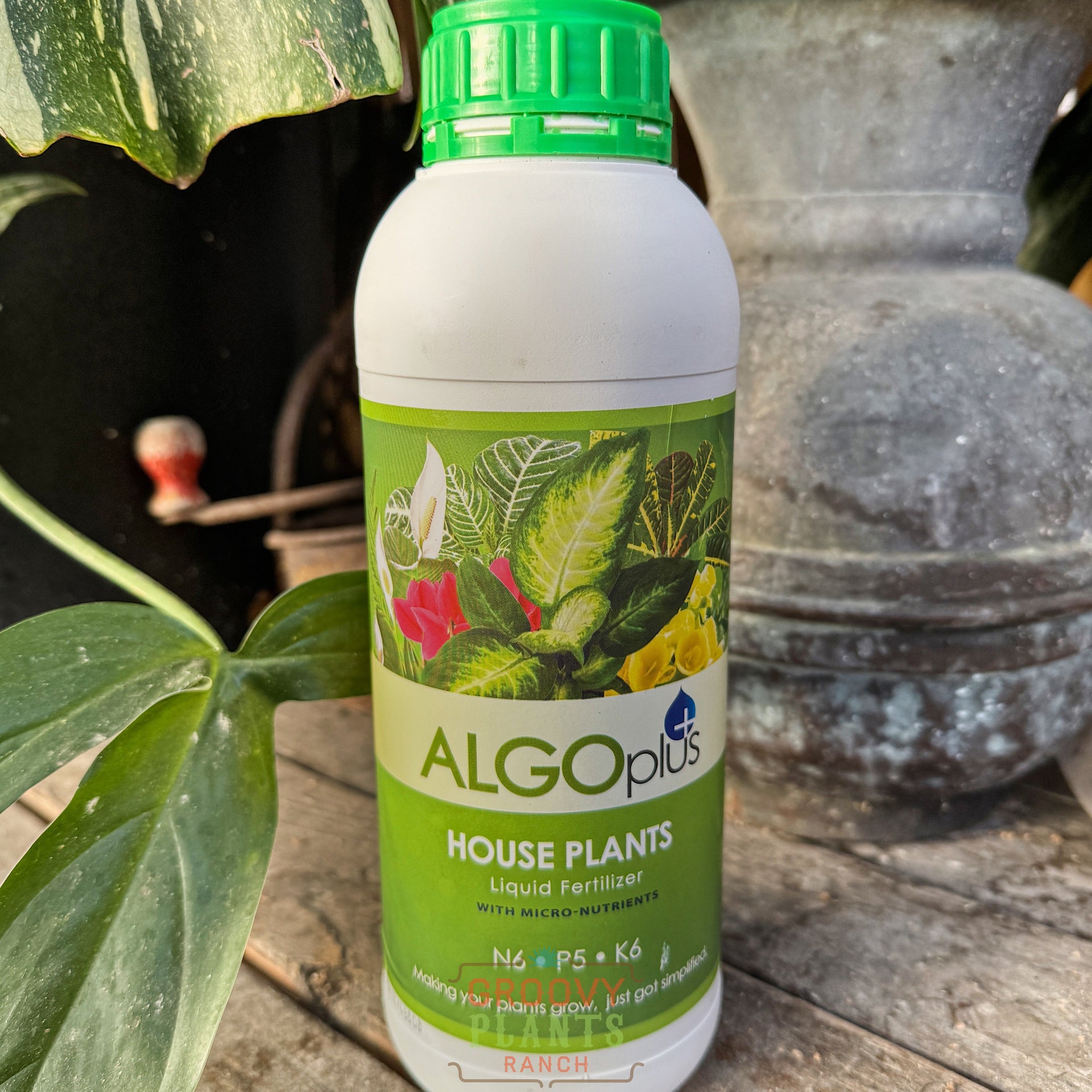 Houseplant Fertilizer – The Groovy Plants Ranch LLC