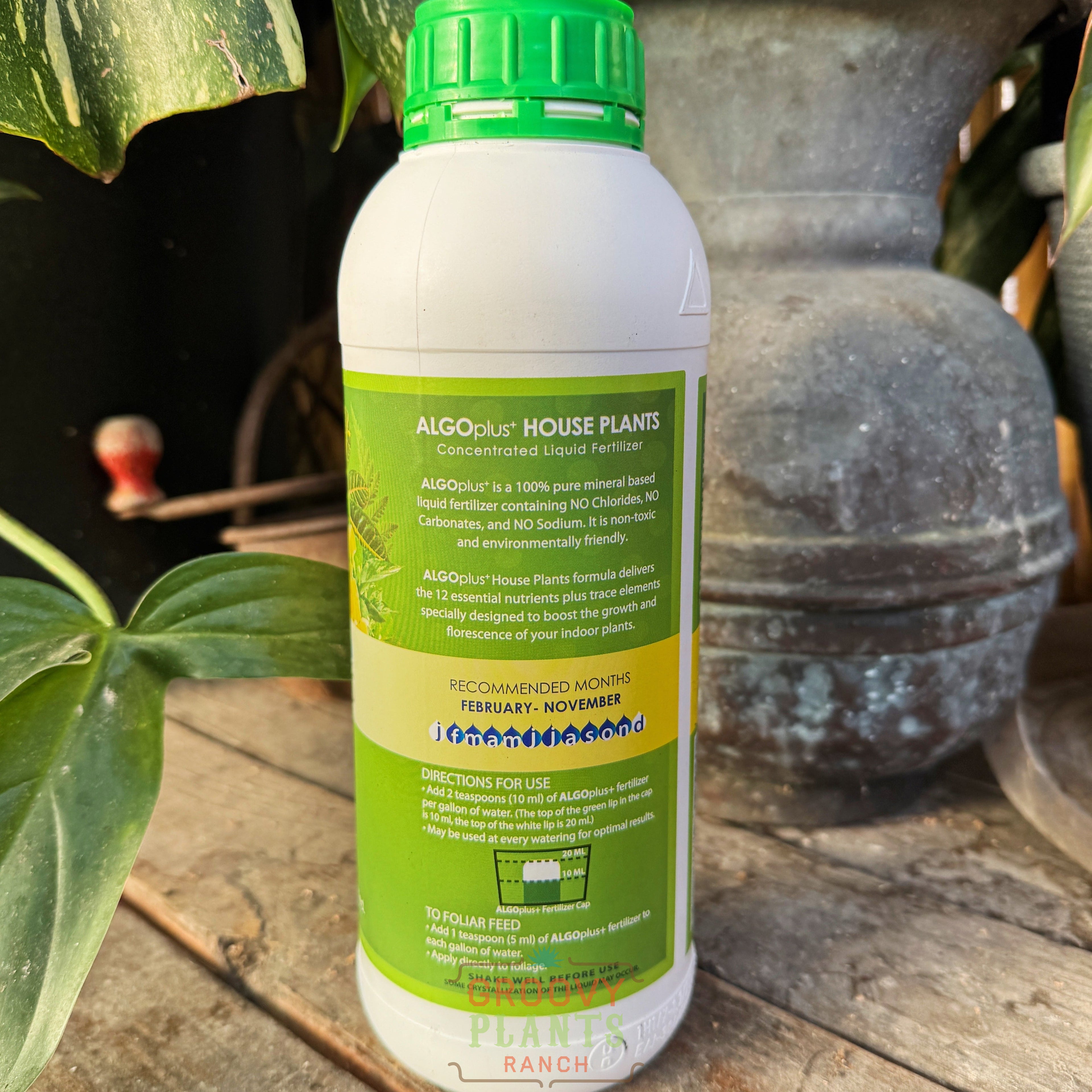 Houseplant Fertilizer