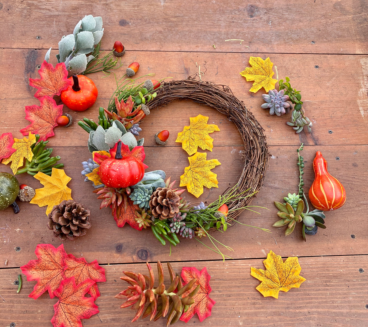 Fall Succulent Wreath l Nov 1st 3:00PM