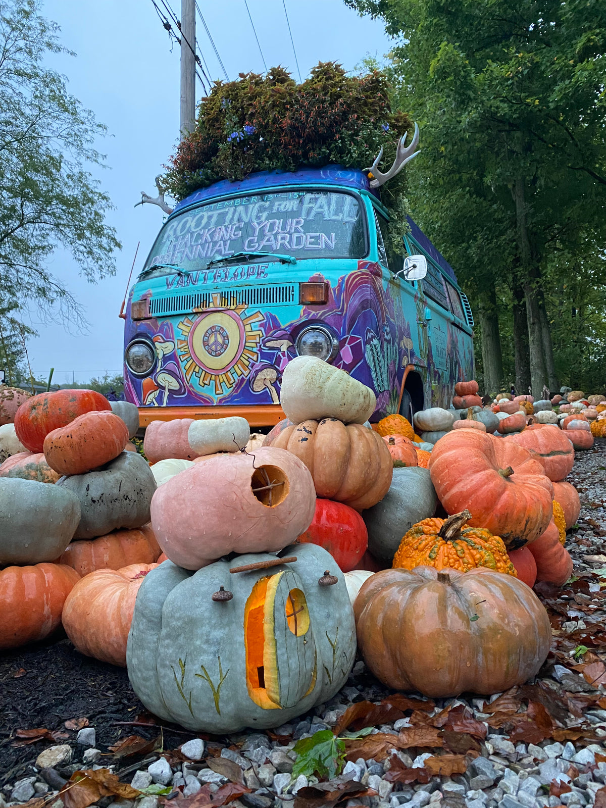 Fairy Pumpkin House Workshop